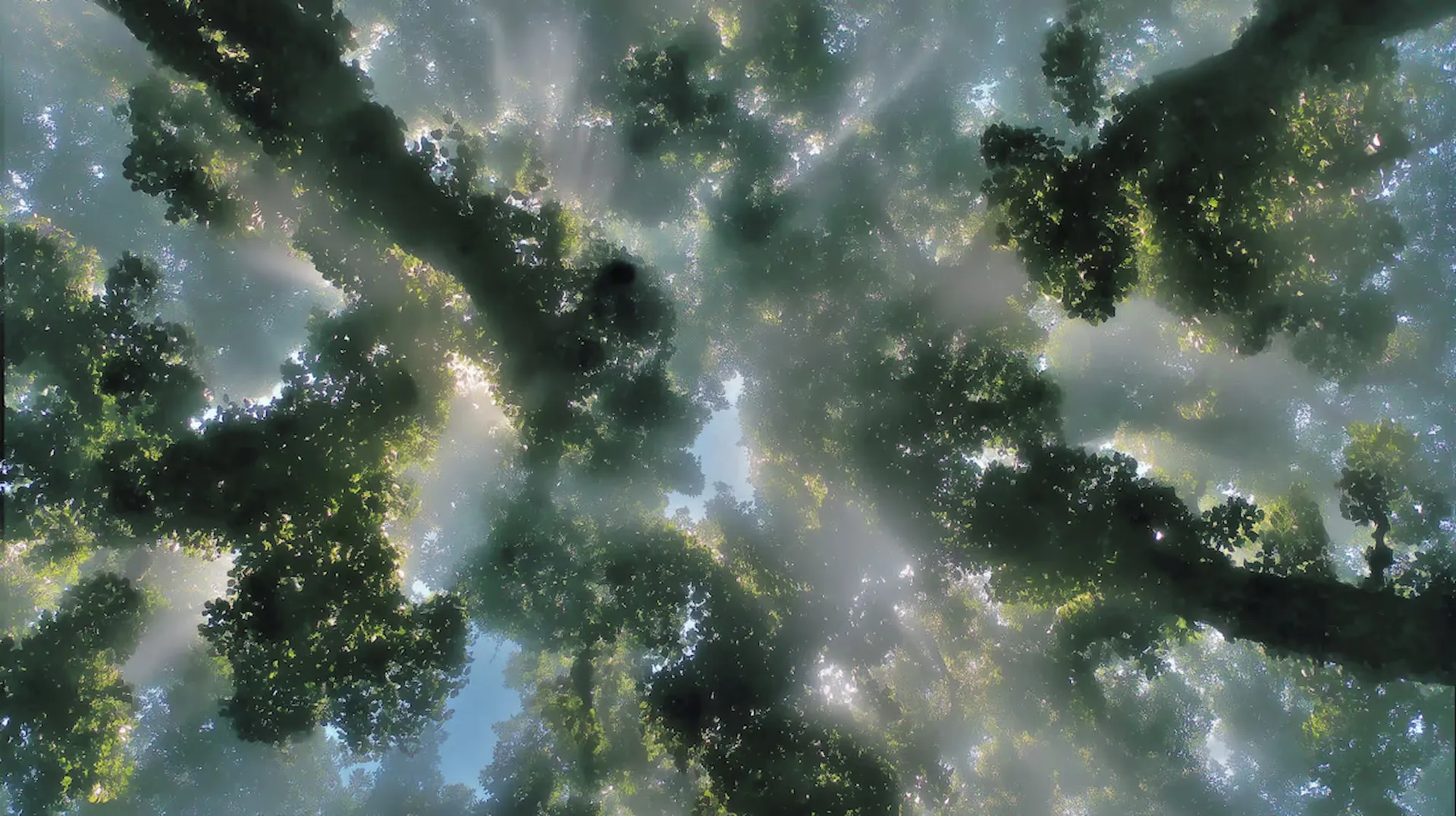 Scrolling Background